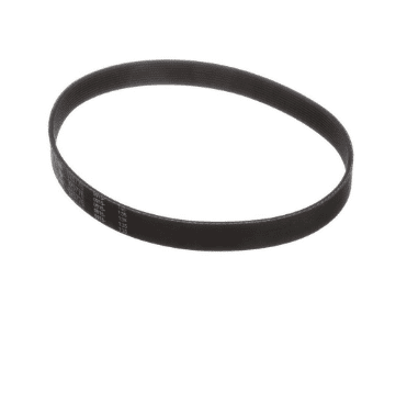 025776 TAYLOR BELT