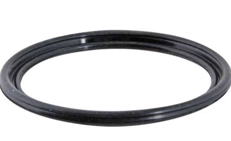 048926 TAYLOR DOOR GASKET